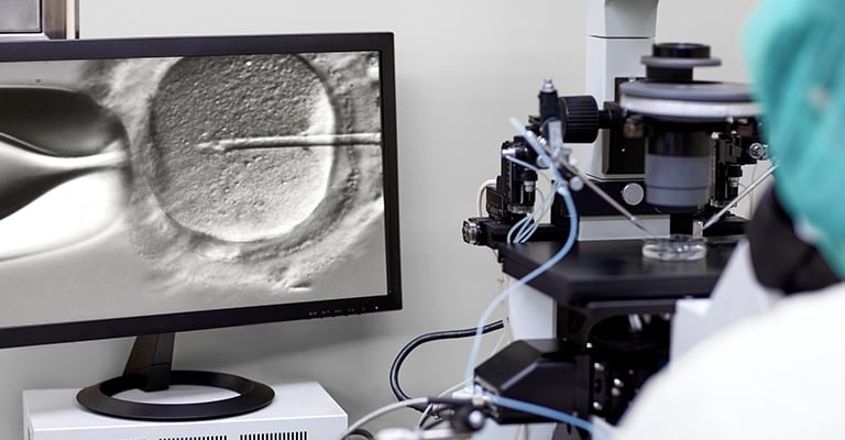 image in an embryology lab