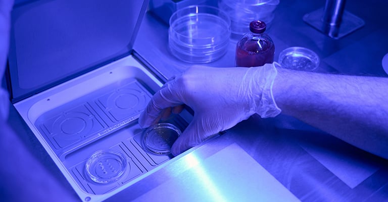 closeup of a gloved hand in a lab