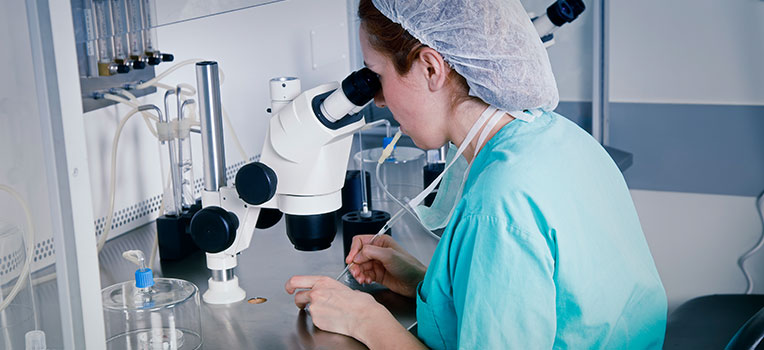 embryologist looking through a microscope