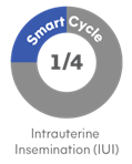 Intrauterine Insemination (IUI) - 1/4 of a Smart cycle