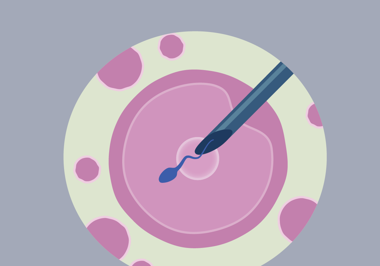 illustration for medication for embryo transfer