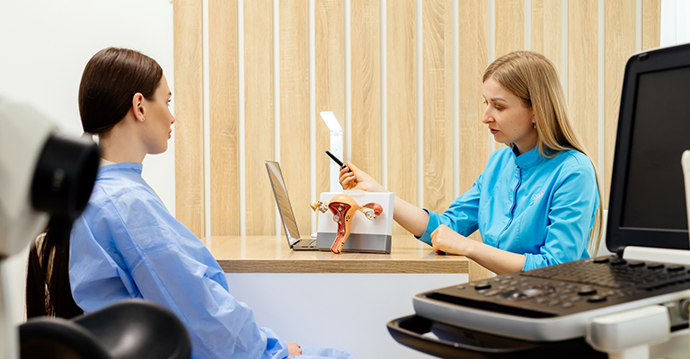 provider explaining the reproductive system model in a medical office